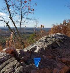 SOUTHEASTERN TRAIL RUNS